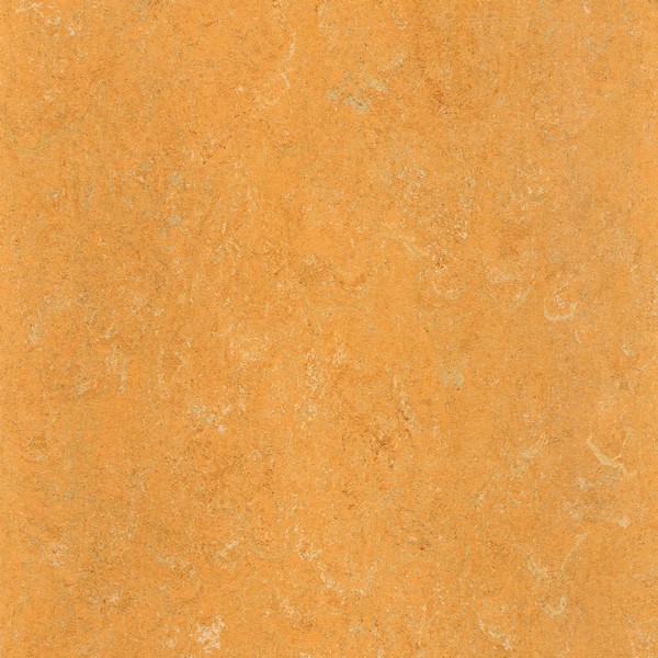 125-173 melon orange