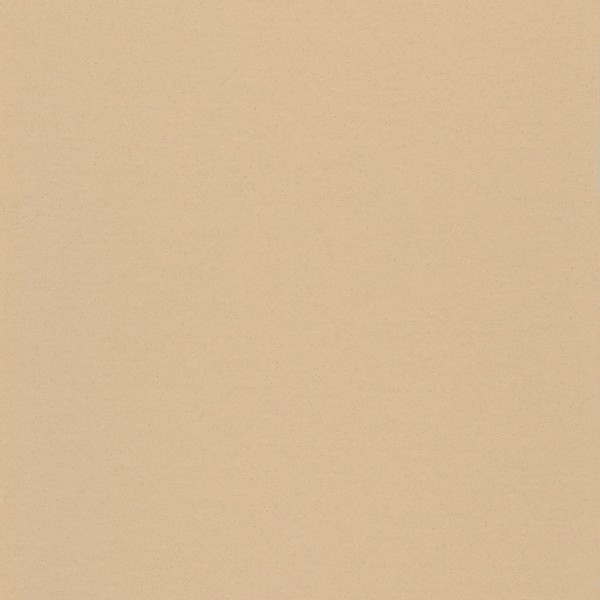 101-043 neutral beige