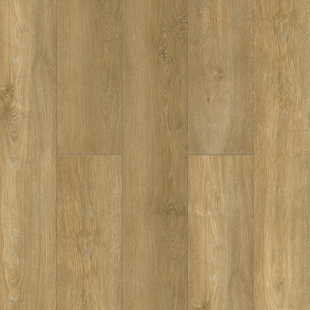 Kysten 5002-05
