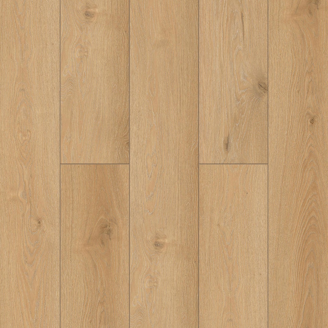 Begna 5001-10
