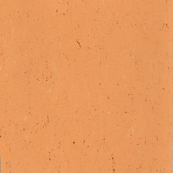 131-078 african orange